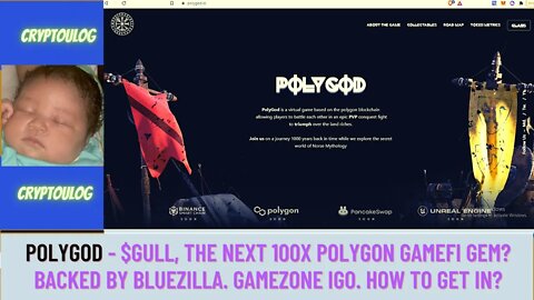 Polygod - $GULL, The Next 100x Polygon Gamefi Gem? Backed By Bluezilla. Gamezone IGO. How To Get In?
