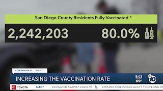 Increasing the Vaccination Rate