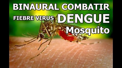 BINAURAL COMBATIR FIEBRE POR VIRUS DENGUE