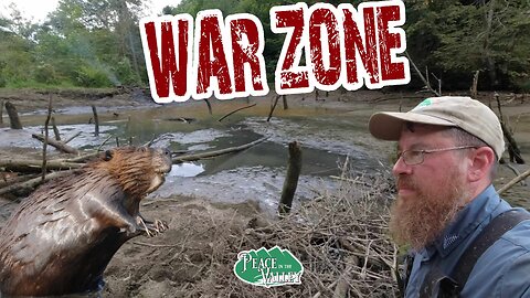 WAR ZONE - E144