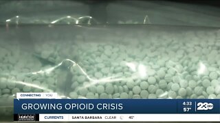 Law enforcement seizures of fentanyl in the U.S. jump dramatically