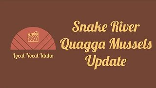 Quagga Mussels in the Snake River: What You Need to Know