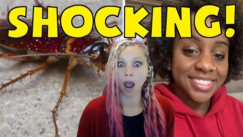 Hundreds Of Cockroaches Released In New York Courthouse By BLM #shorts
