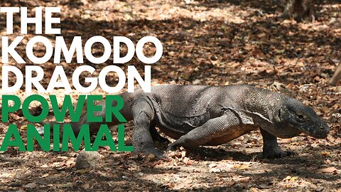 Komodo Dragon Power Animal