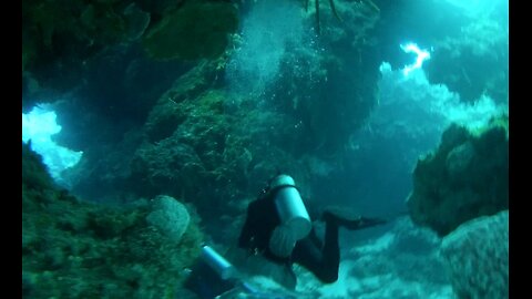 Scuba Diving in Cozumel Mexico