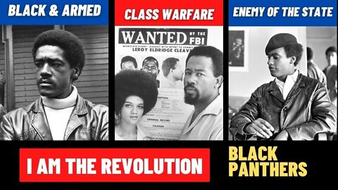 Public Enemy Number One: Vanguard of the REVOLUTION | Black Panther Party | I AM THE REVOLUTION