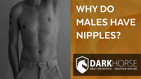 Biologist discusses evolutionary reason for men’s nipples (from Livestream #182)