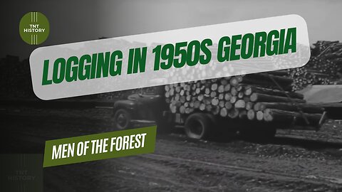 Timber Tales: Life in the 1950s Logging Camps | Men of the Forest Documentary