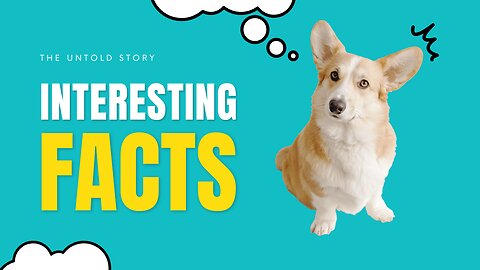 Top Interesting Facts About Dogs #dogs