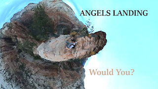 WOULD YOU?!! Angels Landing Viral Video