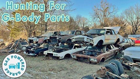 Salvage Yard Tour Searching For G-body Parts