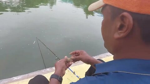 রুই মাছ শিকার🐬Village Fishing Big Rohu Fish Hunting