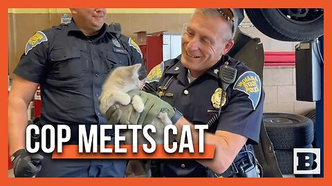 MEET DODGE! Indiana State Police Troopers Rescue Kitten from Patrol Car's Grille