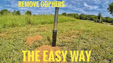 Best Way To Remove Gophers & Moles (Gopher Hawk)