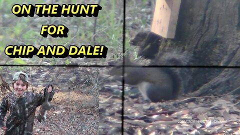 On the hunt for Chip and Dale! My son get his first ever squirrel! Backyard squirrel hunt!
