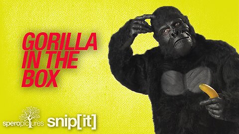 Gorillas, Chickens, and Misdirection. | SPERO PICTURES SPECIAL | Elon Musk, Twitter Files, Penn and Teller, Johnny Enlow, Elijah Streams, Steve Schultz, Twitter