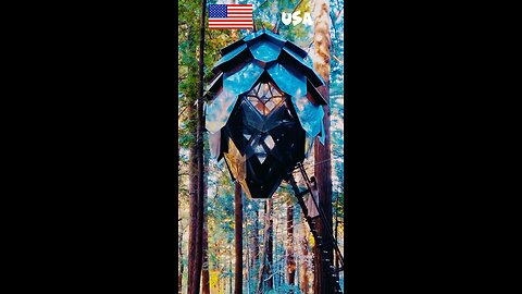 Amazing Usa🇺🇸😱The Pinecone Treehouse Airbnb