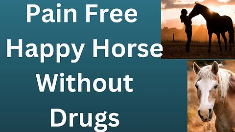 New Way To Decrese Your Horse's Pain
