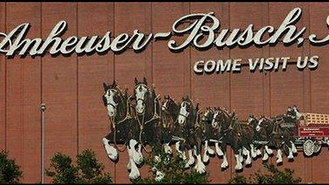 Budweiser Distributor Cancels Clydesdales as Beer Drinkers Cancel Bud Light