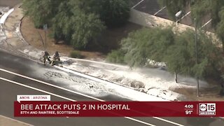 Bee attack in north Scottsdale sends two to the hospital