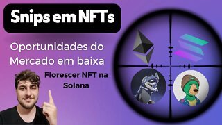 Oportunidades em NFTs para Hold + Florescer da Sonala