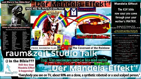 Peter Herrmann: The Mandela-Effect (raum&zeit Studio Talk) - English Subtitles (see links)