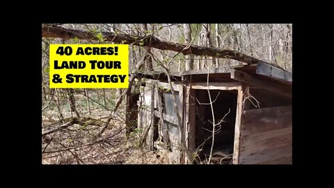 Buying hunting land! We made an offer! PART 2 of our 40 acre property walk & raw land investing tips
