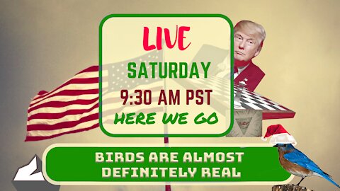 Saturday *LIVE* Birds Are Almost Definitely Real Edition