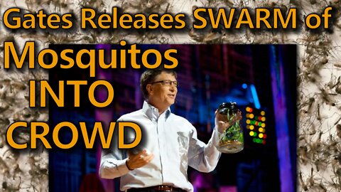 Gates Releases Mosquitos into Crowd - Genetically modified mosquitos can deliver Vaccine