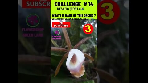 CHALLENGE # 14 |WHATS IS NAME OF THIS ORCHIDS?|YOU WANT TO LEARN? |# SHORT