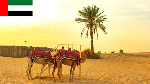 Al Khayma Dubai (Camel, Falcon, BBQ, Tanoura) OceanAir