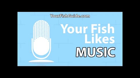 Your Fish Might Like Music ~ Be Care What You Play ~