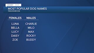 Rover releases top dog names in Denver