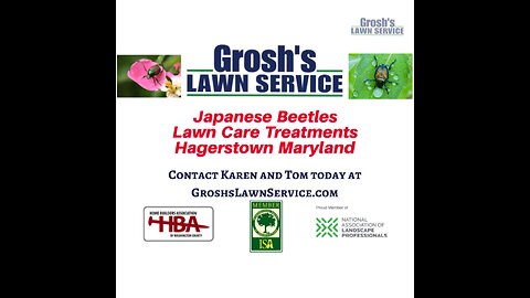 Japanese Beetles Hagerstown Maryland Lawn Care Treatments