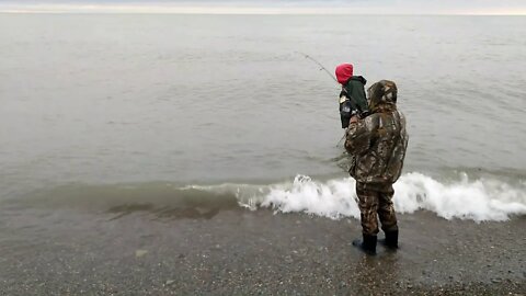 Lake Erie Steelhead Catch