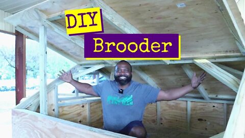DIY Chicken Brooder | NOT Cheap
