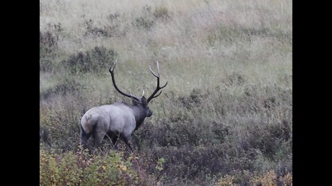 Your First Archery Scouting Trip