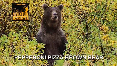 Pepperoni Pizza Brown Bear