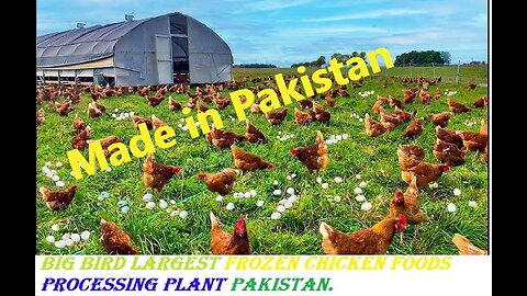 Big Bird Largest Frozen Chicken Foods Processing Plant Pakistan
