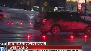 Police investigating pedestrian accident in Westland