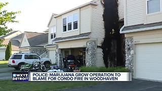 Woodhaven police find grow operation after fire