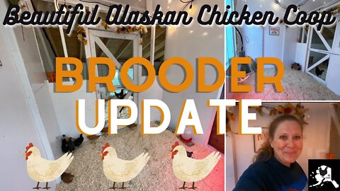 Winterizing the Most Beautiful Chicken Coop and Brooder in Alaska | homestead chicken coop build