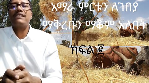 አማራ ምርቱን ለገበያ ማቅረቡን ማቆም አለበት ፪