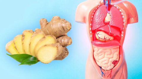 Health Benefits of Ginger - What is ginger good for?