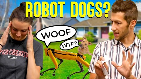 Robot Dogs are Walking Around? | September 28, 2020 Piper Rundown