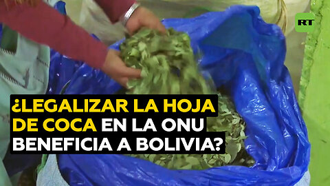 ¿Qué gana Bolivia con despenalizar la hoja de coca en las Naciones Unidas?
