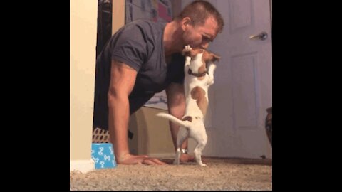 Adorable Puppy showers him with kisses during workout