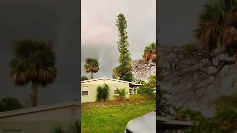 Tree gets hit by lightning ⚡️ #crazyvideo #tree #lightingstrike #explosion