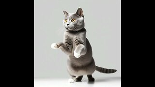 Funny Cats that Dance