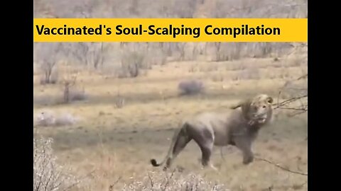 Vaccinated's Soul-Scalping Compilation Video